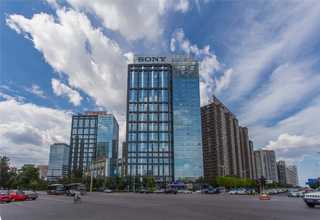 福建非接触式测量仪技术支持